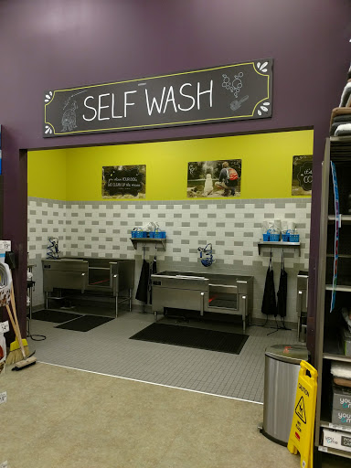 Pet Supply Store «Unleashed by Petco», reviews and photos, 8412 Georgia Ave, Silver Spring, MD 20910, USA