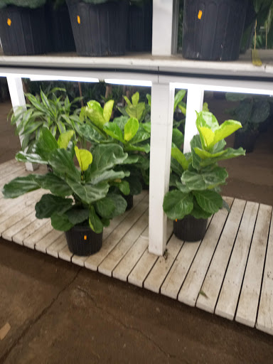 Florist «Metropolitan Plant and Flower Exchange», reviews and photos, 471 NJ-10, West Orange, NJ 07052, USA