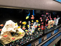 Petco - Photo 4 - Car repair in Tucson, AZ, Tucson