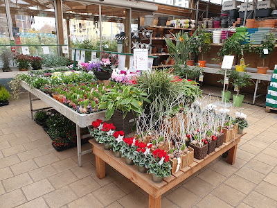 botanic Strasbourg à Strasbourg