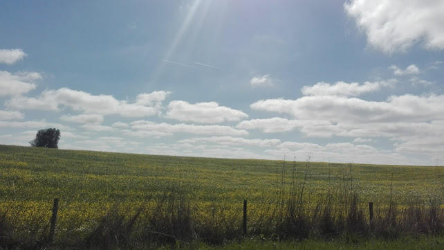 Herdade da Rangina Nova Agricultura e Turismo, Lda. - Vendas Novas