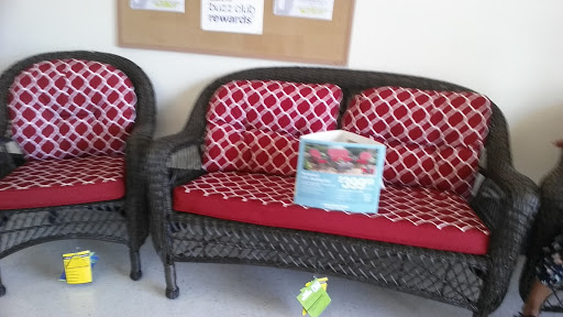 Discount Store «Big Lots», reviews and photos, 2349 Cherry Rd #79, Rock Hill, SC 29732, USA