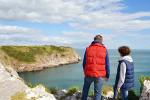 Berry Head National Nature Reserve image