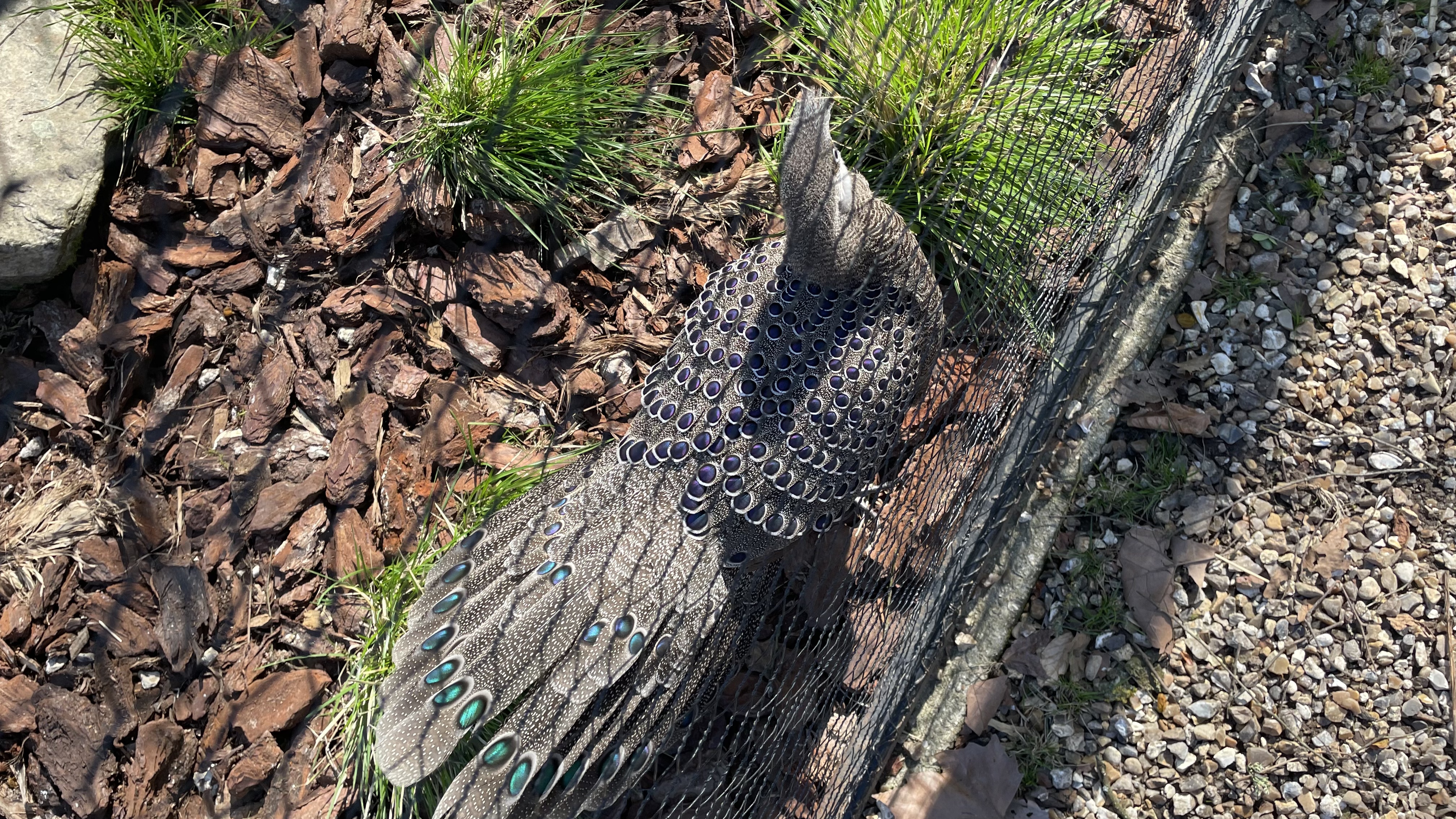 Photo n° 5 de l'avis de Maud.e fait le 16/05/2023 à 12:21