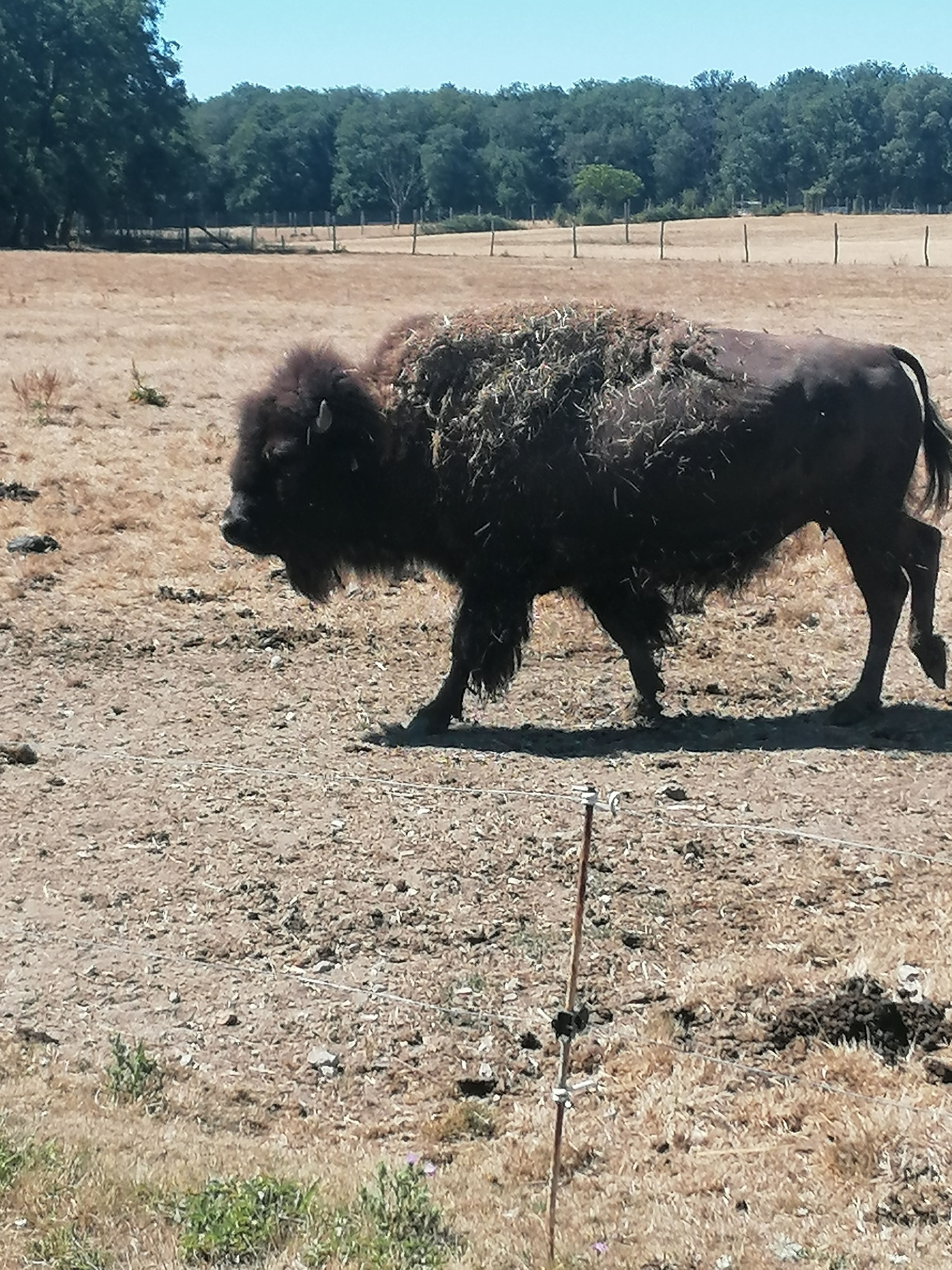 Photo n° 2 de l'avis de BASTI1.H fait le 03/08/2022 à 13:23