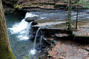 Fiery Gizzard Recreation Area image