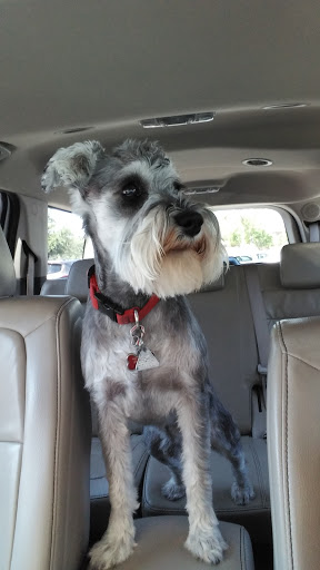 Pet Supply Store «Petco Animal Supplies», reviews and photos, 1415 E Warner Rd, Gilbert, AZ 85296, USA