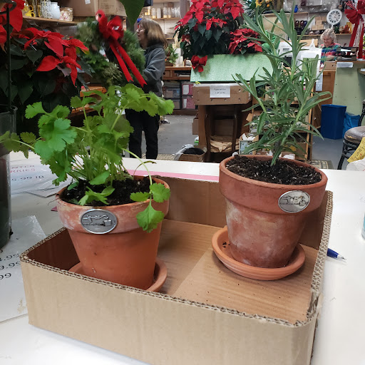 Florist «Floral Fashions», reviews and photos, 78 Purdy Ave, Port Chester, NY 10573, USA