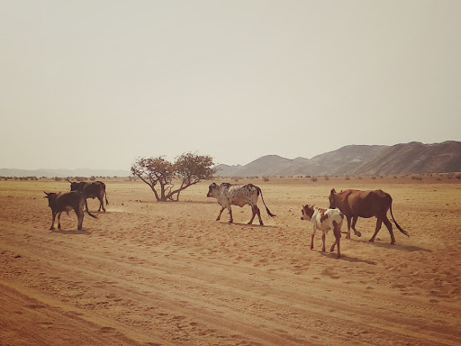 Travel Agency «Jerry Allen Travel Agency», reviews and photos, 20624 Biscayne Blvd, Aventura, FL 33180, USA