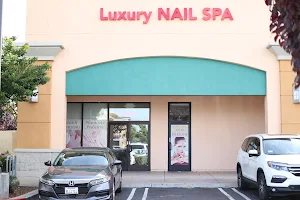 Luxury nail spa image