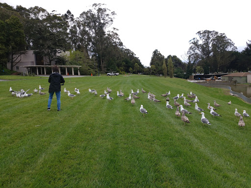 Memorial Park «Cypress Lawn Funeral Home & Memorial Park», reviews and photos, 1370 El Camino Real, Colma, CA 94014, USA