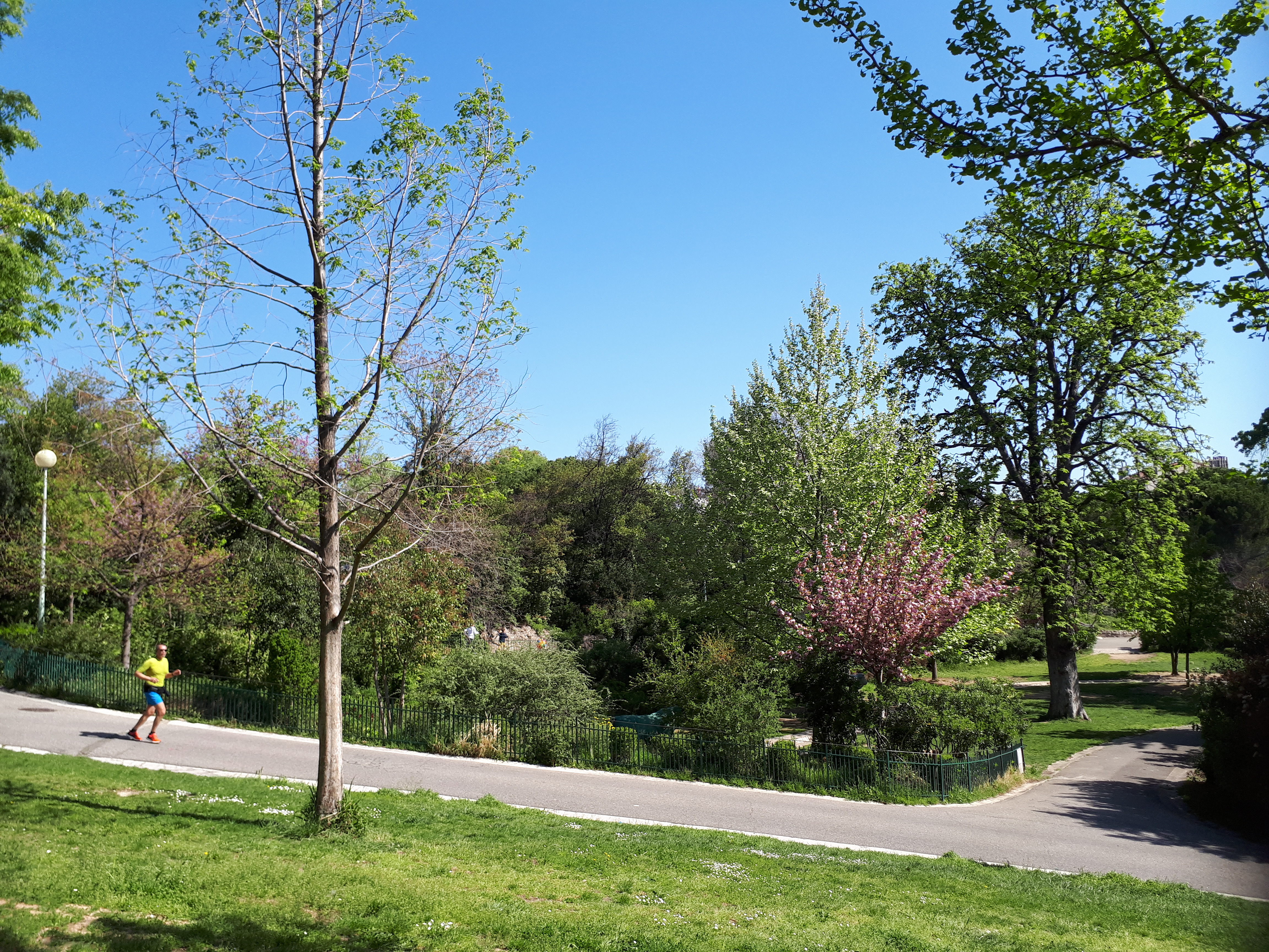 Photo n° 28 de l'avis de Titi.a fait le 04/07/2017 à 22:26