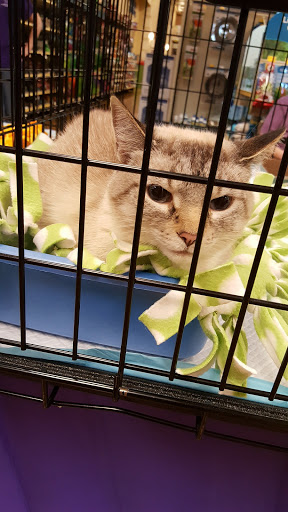 Pet Supply Store «PetSmart», reviews and photos, 2153 75th St, Darien, IL 60561, USA