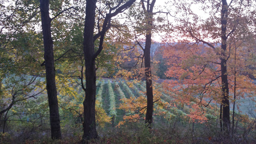 Farm «White Silo Farm & Winery», reviews and photos, 32 CT-37, Sherman, CT 06784, USA