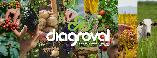 DIAGROVAL - Distribuciones Agropecuarias del Valle