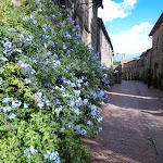 Photo n°7 de l'avis de luca.o fait le 18/09/2022 à 15:58 sur le  Trattoria La Chiave del Paradiso à Pitigliano