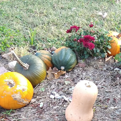 Thrift Store «Second Blessing Thrift Store Inc.», reviews and photos, 2323 Central Ave, Wichita, KS 67214, USA