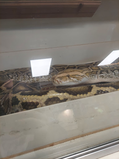 Reptile Store «Pets & Things», reviews and photos, 44825 Van Dyke, Utica, MI 48317, USA