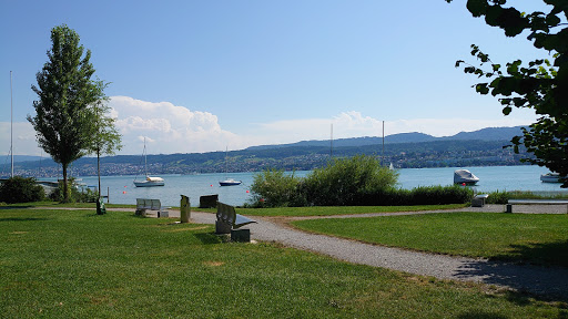 Erlenwagen Playa Lago Zurich
