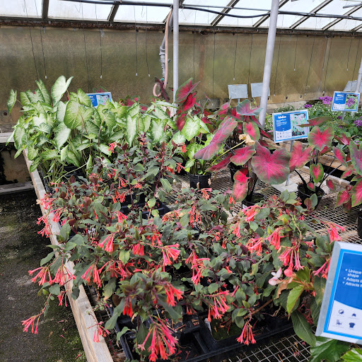 Florist «Radebaugh Florist and Greenhouses», reviews and photos, 120 Burke Ave, Towson, MD 21286, USA