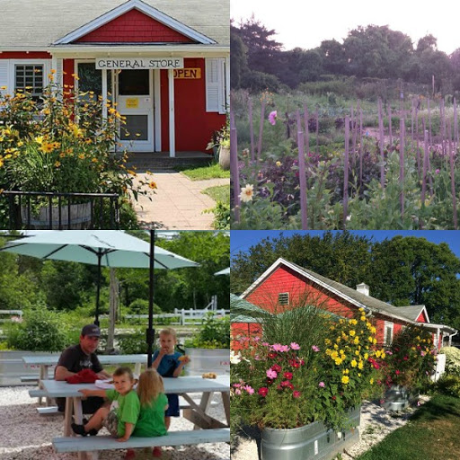 Grocery Store «Katama General Store», reviews and photos, 170 Katama Rd, Edgartown, MA 02539, USA