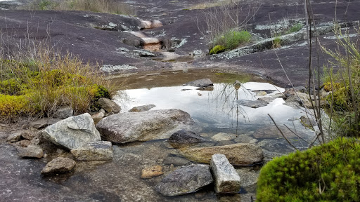 Nature Preserve «Davidson-Arabia Nature Preserve», reviews and photos, 3787 Klondike Rd, Lithonia, GA 30038, USA