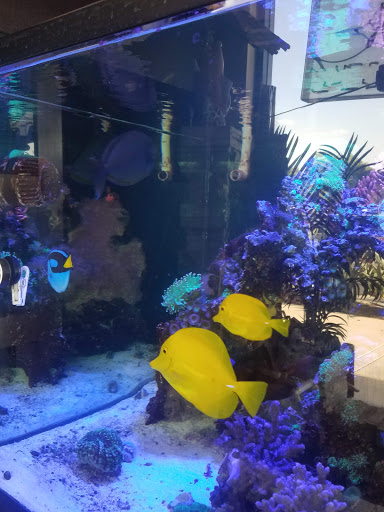 Pet Store «Pet World», reviews and photos, 891 Harriman Pl, San Bernardino, CA 92408, USA