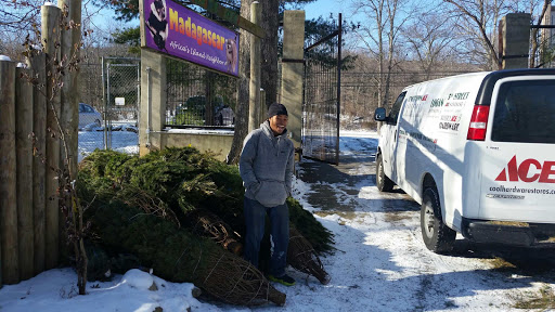 Hardware Store «Tenleytown Ace Hardware», reviews and photos, 4500 Wisconsin Ave NW, Washington, DC 20016, USA