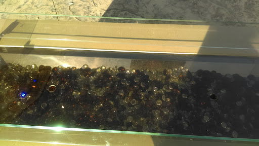 Amusement Park «Paradise Park», reviews and photos, 45799 Grand River Ave, Novi, MI 48374, USA