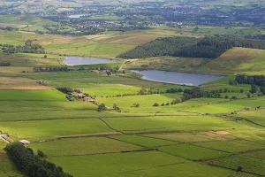 Pendle Hill Steep Walking Route image