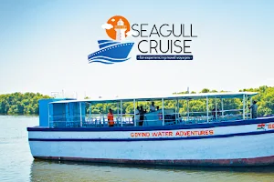 Seagull Cruise image