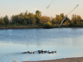 Junction City Pond