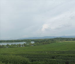 Singha Park photo