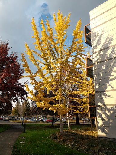 Hewlett-Packard Company, 1000 NE Circle Blvd, Corvallis, OR 97330, USA, 