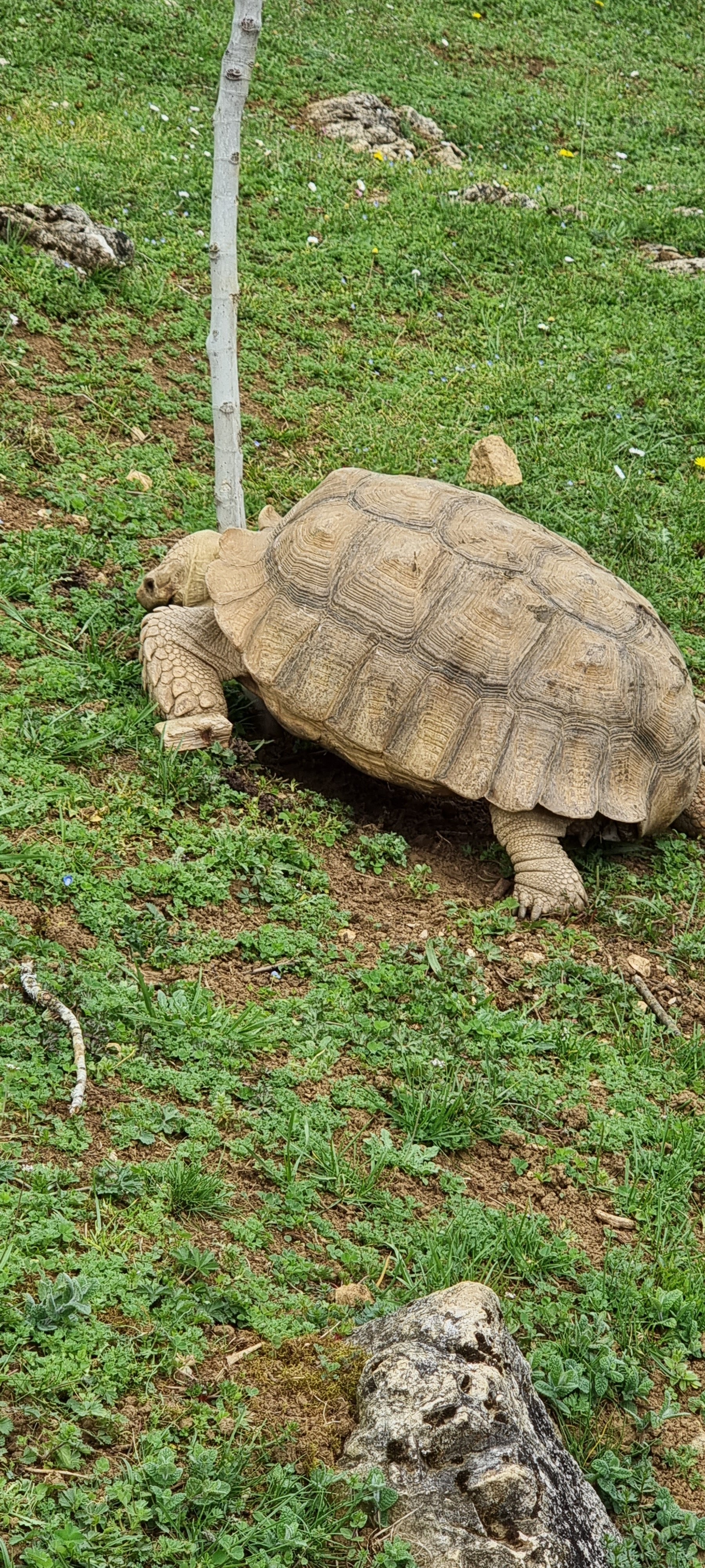 Photo n° 3 de l'avis de David.v fait le 01/04/2023 à 17:10