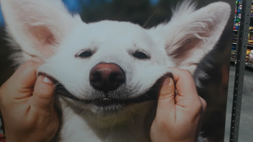 Pet Supply Store «Pet Supplies Plus», reviews and photos, 21703 Village Lakes Shopping Center Dr, Land O Lakes, FL 34639, USA
