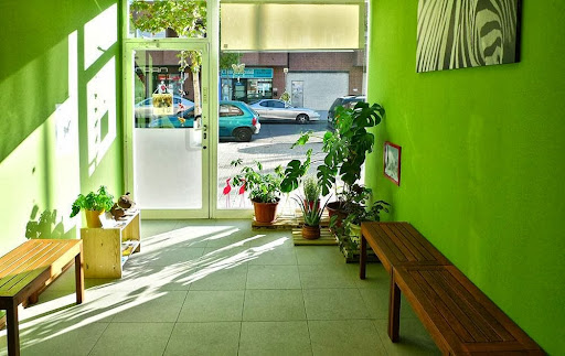 Clínica Veterinaria Los Ojos del Bosque en Las Rozas de Madrid