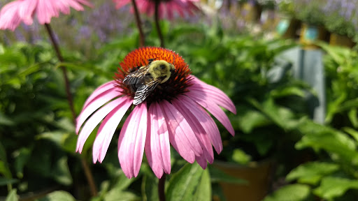 Landscaper «Garden Greenhouse & Nursery», reviews and photos, 1919 U.S. 9, Cape May Court House, NJ 08210, USA