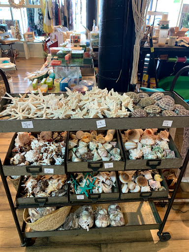 Gift Shop «Sand Dollar Gift Shop», reviews and photos, 5302 Marina Dr, Holmes Beach, FL 34217, USA