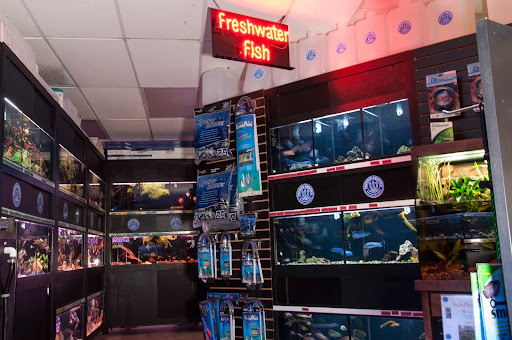 Tropical Fish Store «Premier Aquatics», reviews and photos, 1801 Roswell Rd, Marietta, GA 30062, USA
