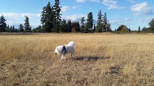 Fort Steilacoom Dog Park - photo 12