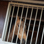 Photo n°7 de l'avis de marysol._ fait le 14/07/2019 à 12:38 sur le  Naxos Ristorante & Pizzeria à Pontenure