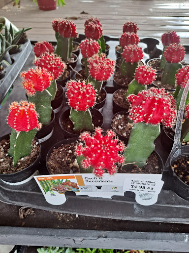 Home Improvement Store «The Home Depot», reviews and photos, 1712 N Dale Mabry Hwy, Tampa, FL 33607, USA