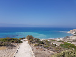 Photo de Ranti Forest Beach zone sauvage