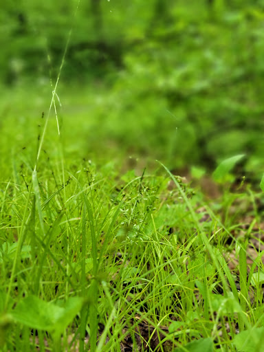 Plumber «Morgan Miller Plumbing», reviews and photos, 13911 Norby Rd, Grandview, MO 64030, USA