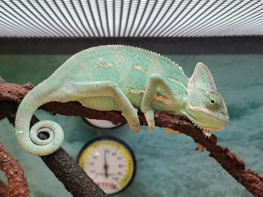 Pet Supply Store «Petco Animal Supplies», reviews and photos, 3320 Stockton Hill Rd, Kingman, AZ 86409, USA