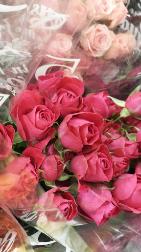 Supermarket «Festival Foods», reviews and photos, 2415 Westowne Ave, Oshkosh, WI 54904, USA