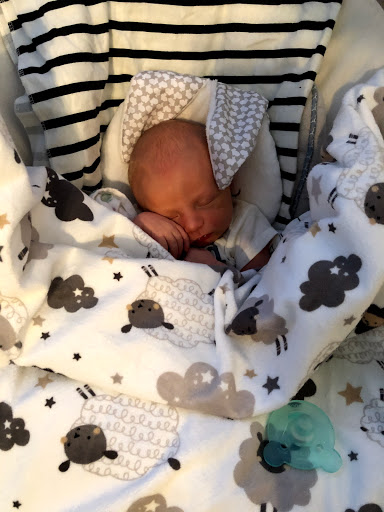 Southern Restaurant (US) «Blue Willow Inn Restaurant & Gift Shop», reviews and photos, 294 N Cherokee Rd, Social Circle, GA 30025, USA