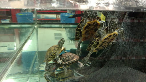 Pet Supply Store «Petco Animal Supplies», reviews and photos, 1835 E Guadalupe Rd #112, Tempe, AZ 85283, USA