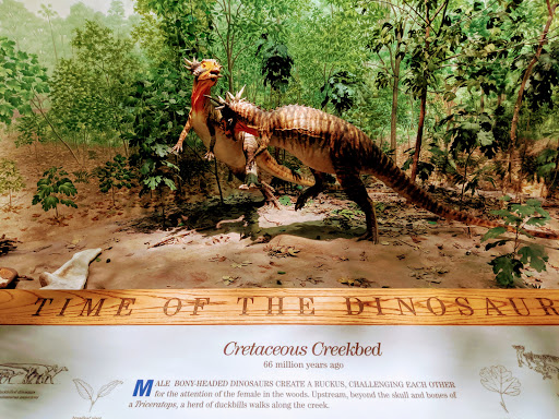 Natural History Museum «Denver Museum of Nature & Science», reviews and photos, 2001 Colorado Blvd, Denver, CO 80205, USA